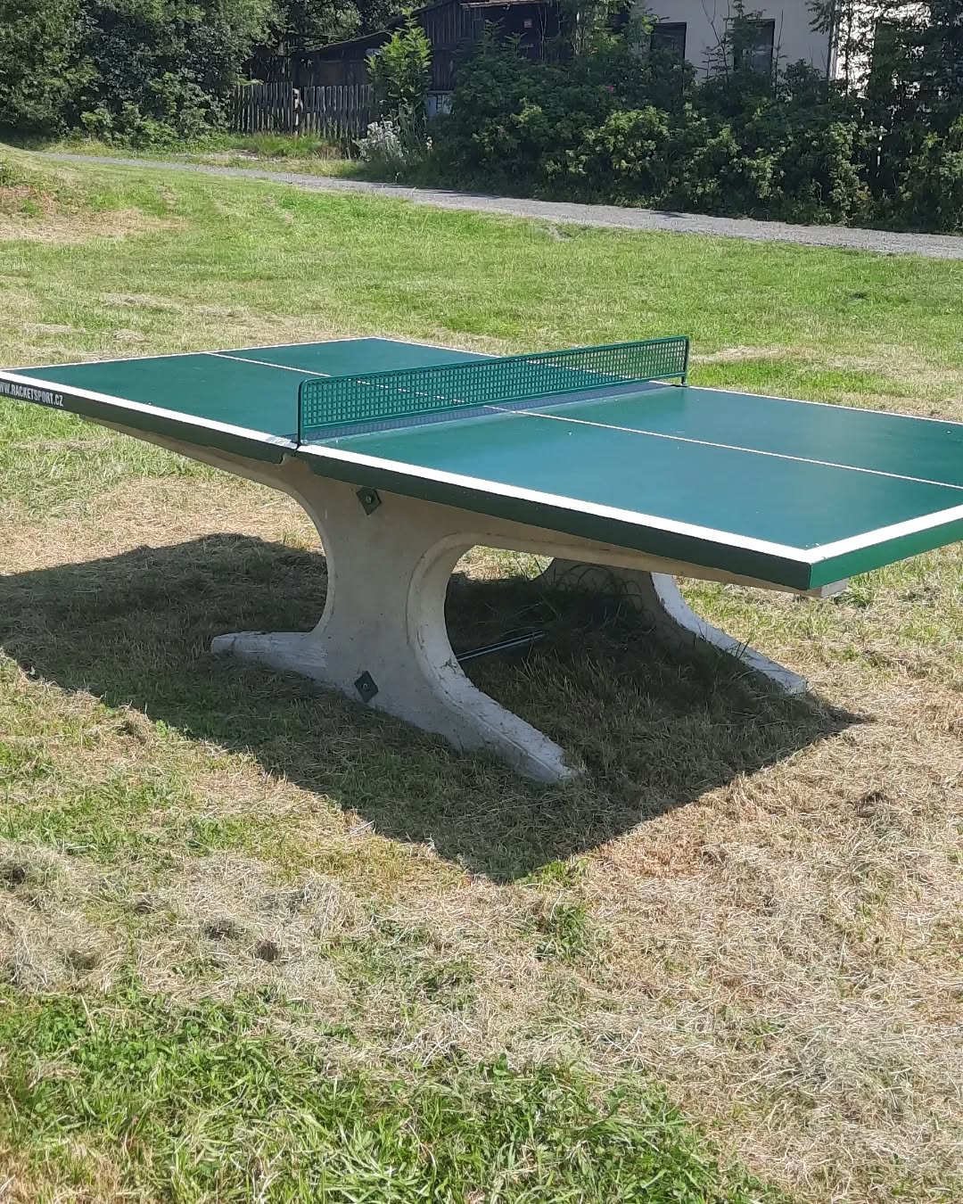ping pong