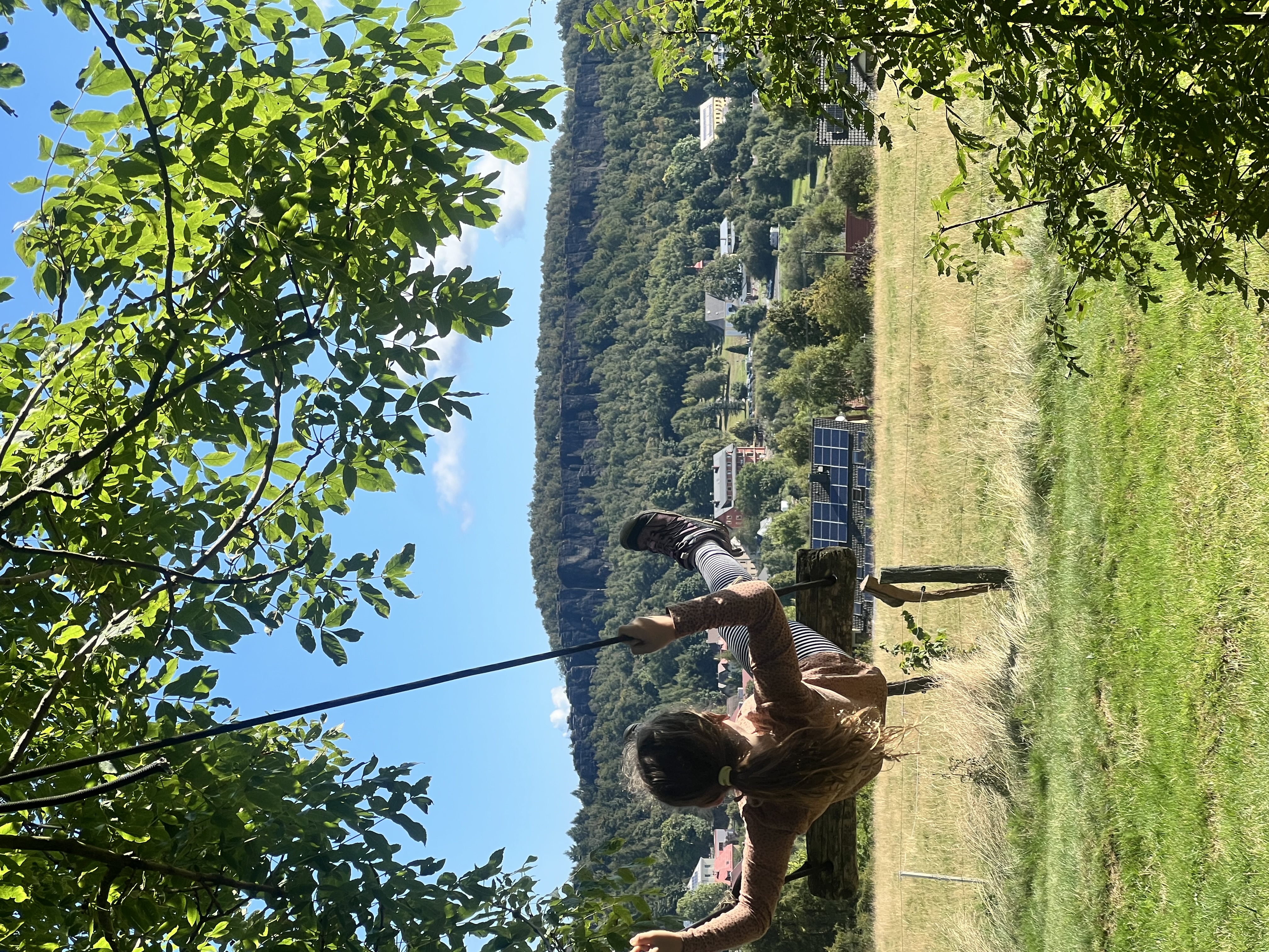 IMG_6818